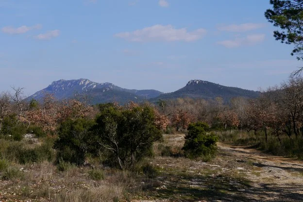 Randonnée MAZAUGUES - La glacière de Pivaut et le Gaudin · Mazaugues