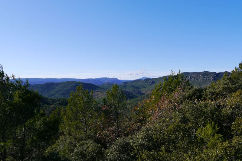 Randonnée GAREOULT - Le bois de Cavaillon · Garéoult