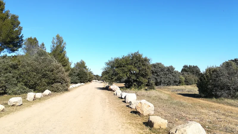 Randonnée SAINT-RÉMY-DE-PROVENCE - À la rencontre des oiseaux de la Petite Crau · Saint-Rémy-de-Provence