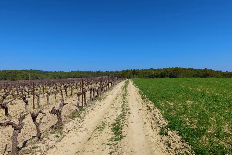 Randonnée BEAUMONT-DE-PERTUIS - Entre collines boisées et cultures ancestrales · Beaumont-de-Pertuis