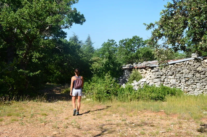 Randonnée FLASSAN - La combe de Canaud · Flassan