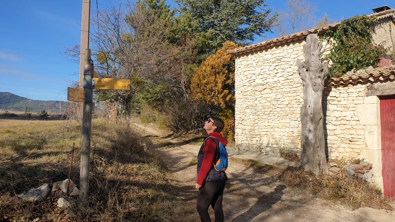 Randonnée ST-TRINIT – Les chênes séculaires des bois de la Caviote · Saint-Trinit