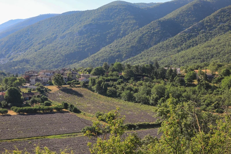 Randonnée AURIBEAU - Mourre Nègre et biodiversité en chemin · Auribeau