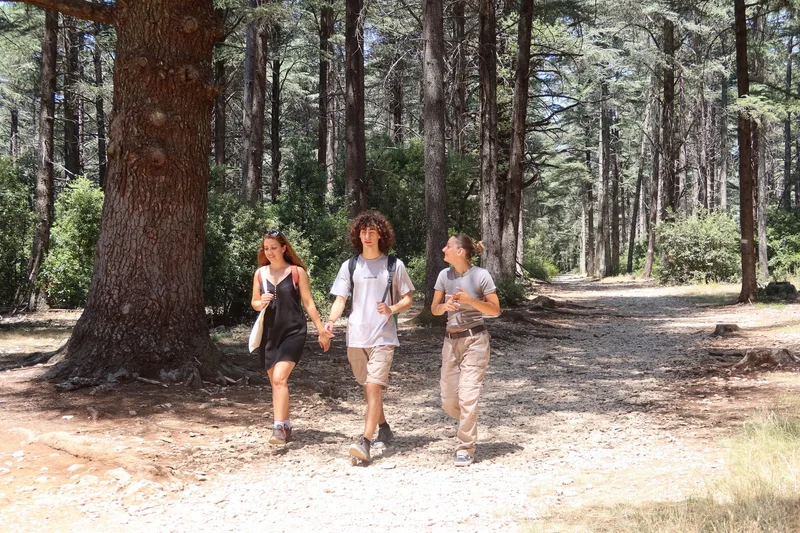 Randonnée BONNIEUX -LACOSTE - Forêt des Cèdres du Petit Luberon · Bonnieux