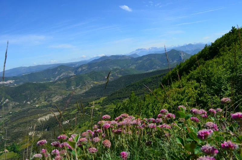 Randonnée SERRES - Sur le GRP® Tour des Baronnies provençales, variante haut-alpine en 8 jours · Serres