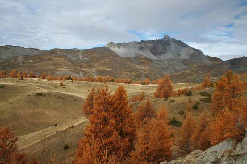 Randonnée CHATEAU QUEYRAS - Col de la Crèche · Ville-Vieille