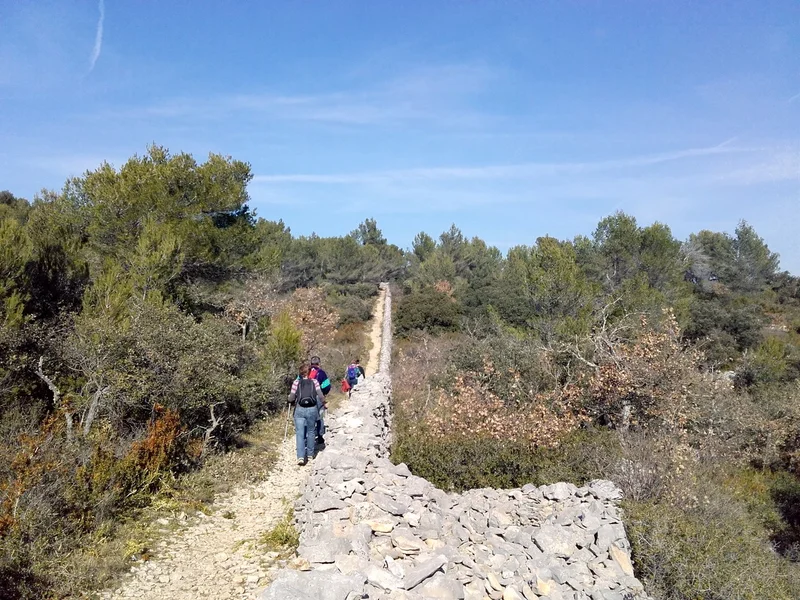 Randonnée CABRIÈRES D'AVIGNON - Le mur de la Peste · Cabrières-d'Avignon