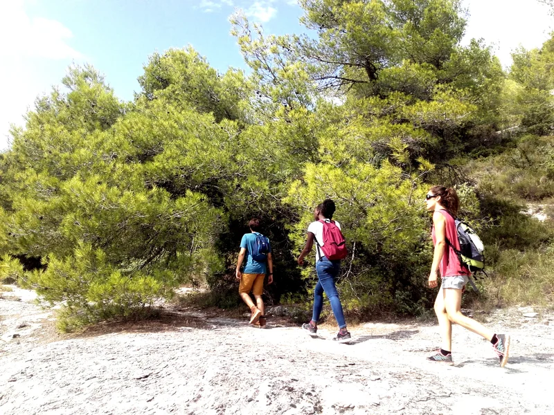 Randonnée LES BEAUMETTES - Sentier botanique · Beaumettes