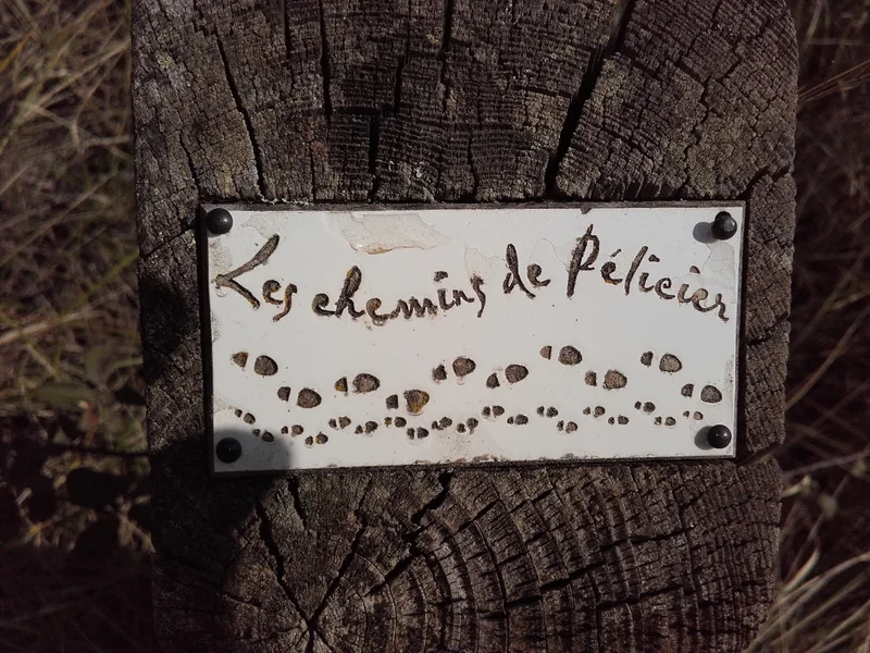 Randonnée MANOSQUE - Les chemins de la forêt de Pélicier · Manosque