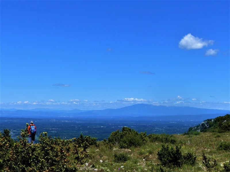 Randonnée SAINT-RÉMY-DE-PROVENCE - Entre vallon et plateau · Saint-Rémy-de-Provence