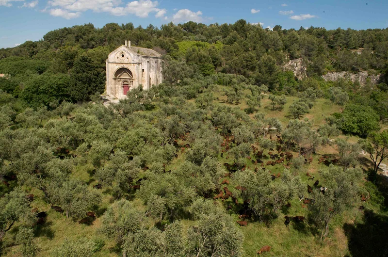 Randonnée TARASCON - La Routo : autour de Saint-Gabriel · Tarascon