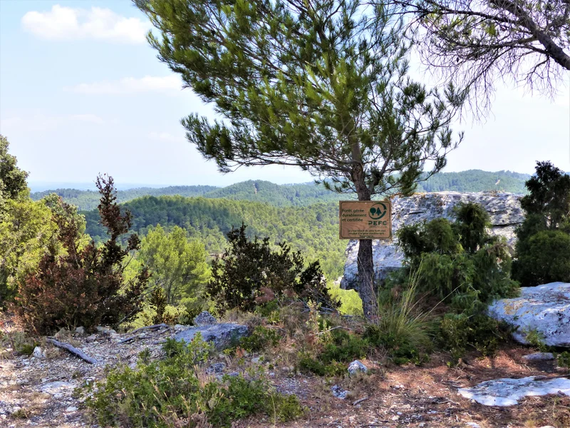 Randonnée TARASCON - La Routo : sentier des chapelles · Tarascon
