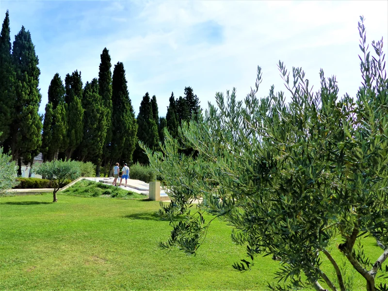 Randonnée MAUSSANE-LES-ALPILLES - Au fil de l'eau · Maussane-les-Alpilles