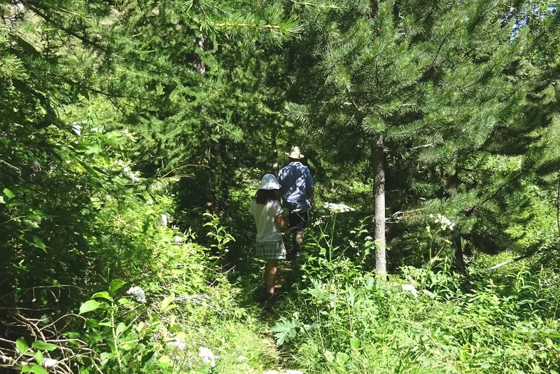 Randonnée CERVIERES - Sentier botanique · Cervières