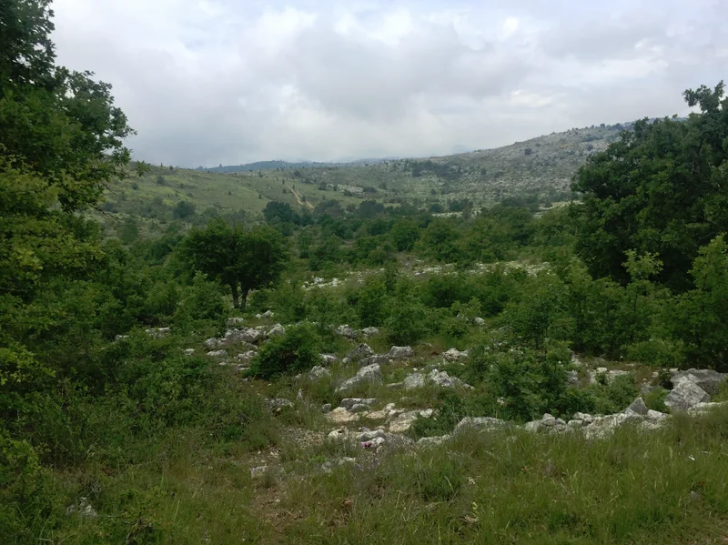 Randonnée VENCE - Plan des Noves · Vence