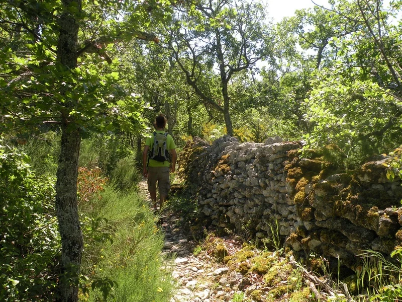 Randonnée SAIGNON - Chemin de la Gardette · Saignon