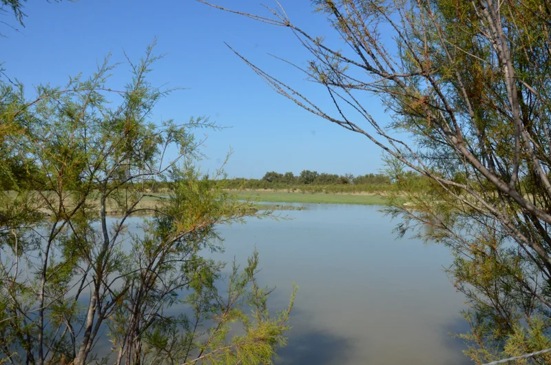 Randonnée ARLES - Au cœur des marais du Verdier · Le Sambuc