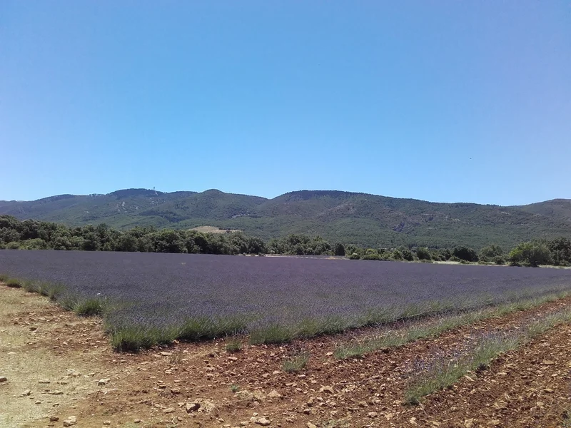 Randonnée BUOUX - Le plateau des Claparèdes (0) · Buoux