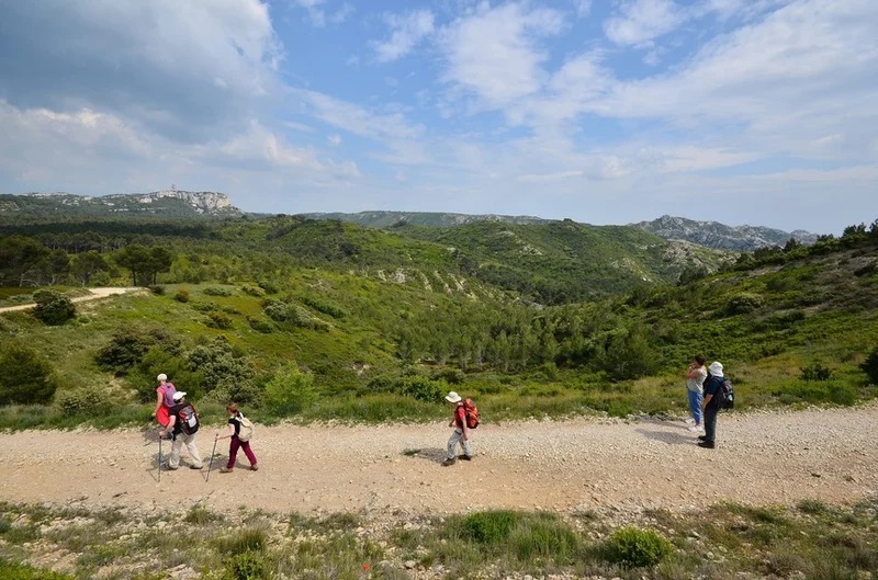 Randonnée AUREILLE - La Vallongue · Aureille