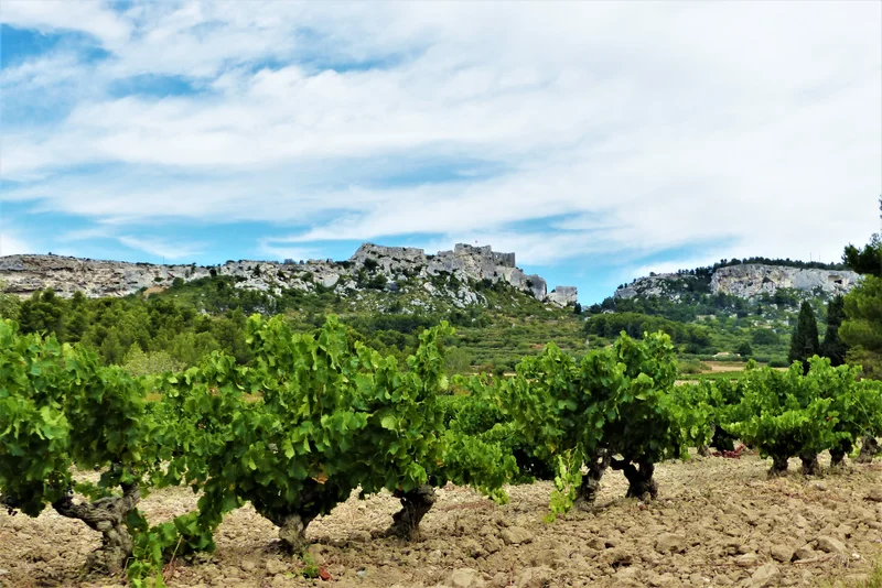Randonnée LES BAUX-DE-PROVENCE - Les crêtes de Baumayrane · Les Baux-de-Provence
