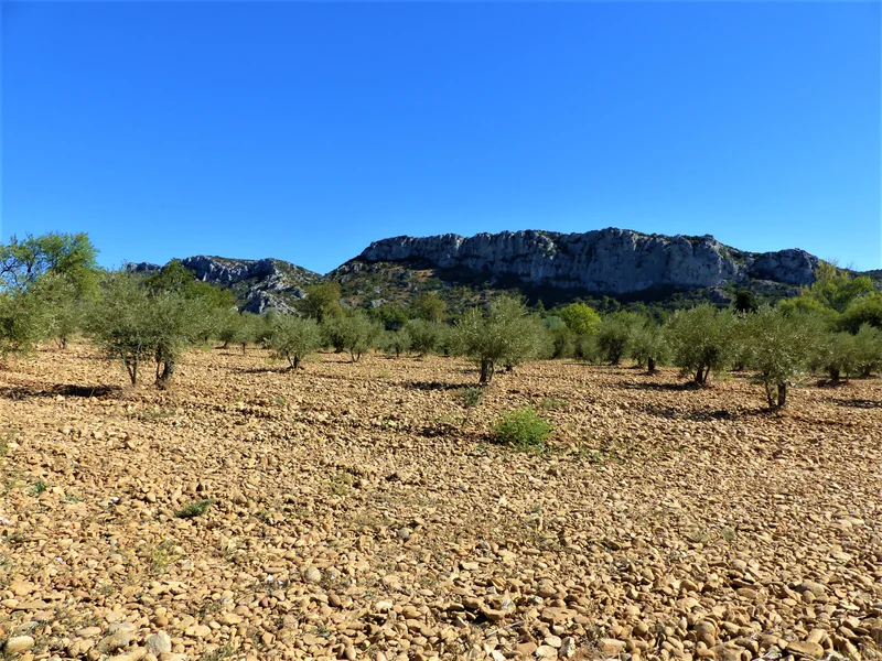 Randonnée EYGUIÈRES - Vallon des Glauges · Eyguières