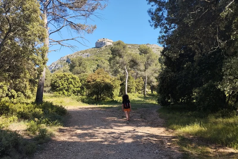 Randonnée LES TAILLADES - Colline de Pied Caud · Taillades