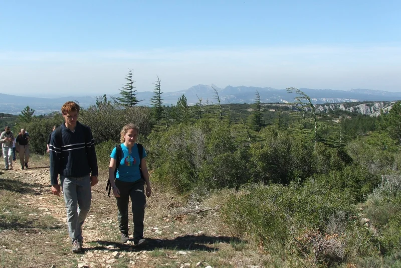 Randonnée CHEVAL-BLANC - Sentier du Trou du Rat par Mayorques · Cheval-Blanc