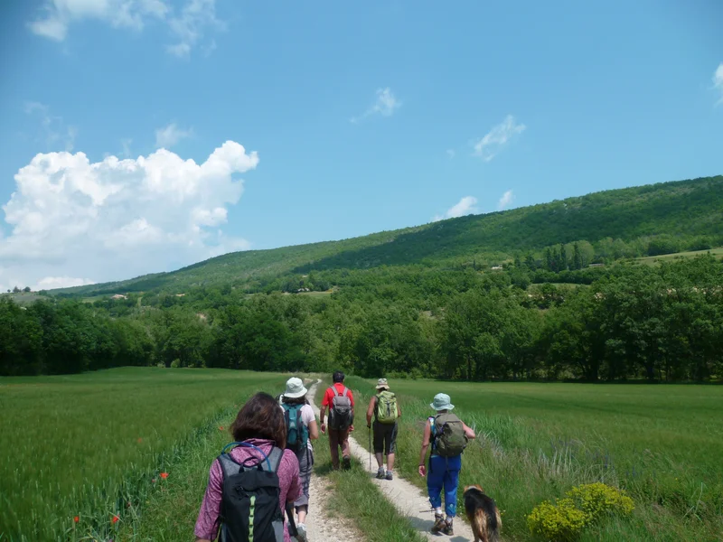 Randonnée CÉRESTE-EN-LUBERON - De La Gardette au Nid d'Amour · Céreste-en-Luberon