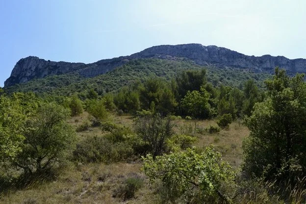 Randonnée POURRIÈRES - Sentier de l'Aubanède · Pourrières
