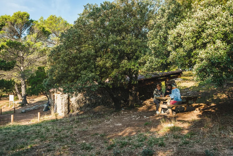 Randonnée CUGES-LES-PINS - Crête de la Sainte-Baume et Jas de Frédéric · Cuges-les-Pins
