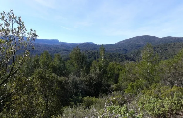 Randonnée SAINT-ZACHARIE - La forêt du Défens par le pas de Peyruis · Saint-Zacharie