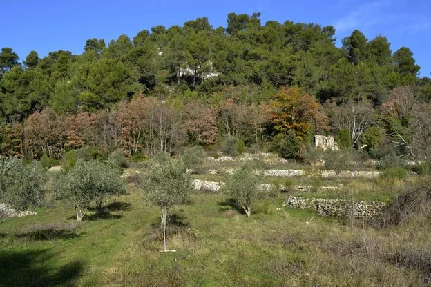 Randonnée NANS-LES-PINS - De l'Huveaune à Mantelette · Nans-les-Pins