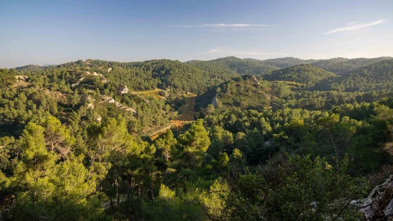 Randonnée SAINT-ÉTIENNE-DU-GRÈS - La grande pinède des Alpilles · Saint-Étienne-du-Grès