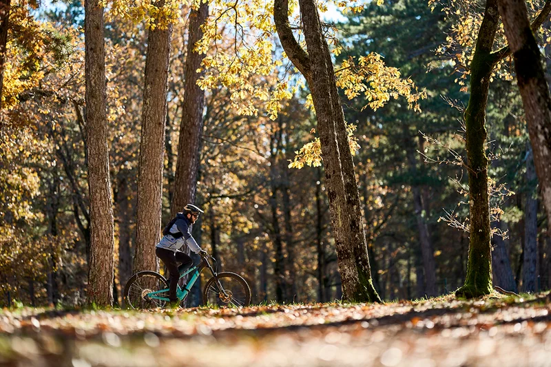 VTT SAULT - Le Bois du Défends à VTT · Sault