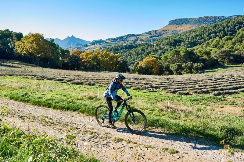 VTT MALAUCENE - Le tour des Abbayes à VTT · Malaucène