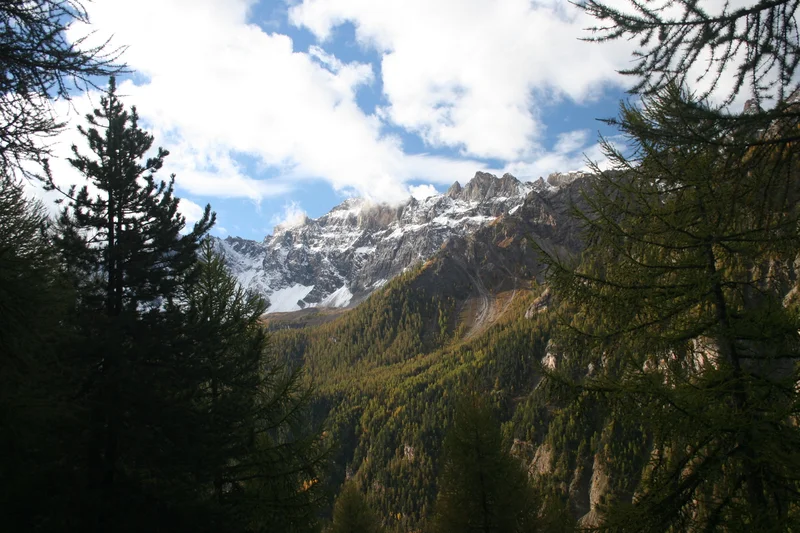 VTT CEILLAC - Bois de Jalavez à VTT · Ceillac