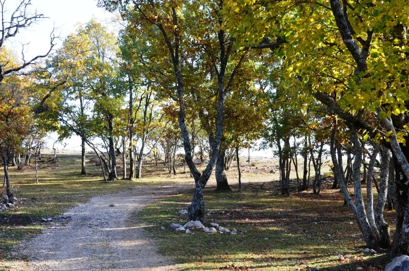 VTT ESCRAGNOLLES - Baou Mourine à VTT · Escragnolles