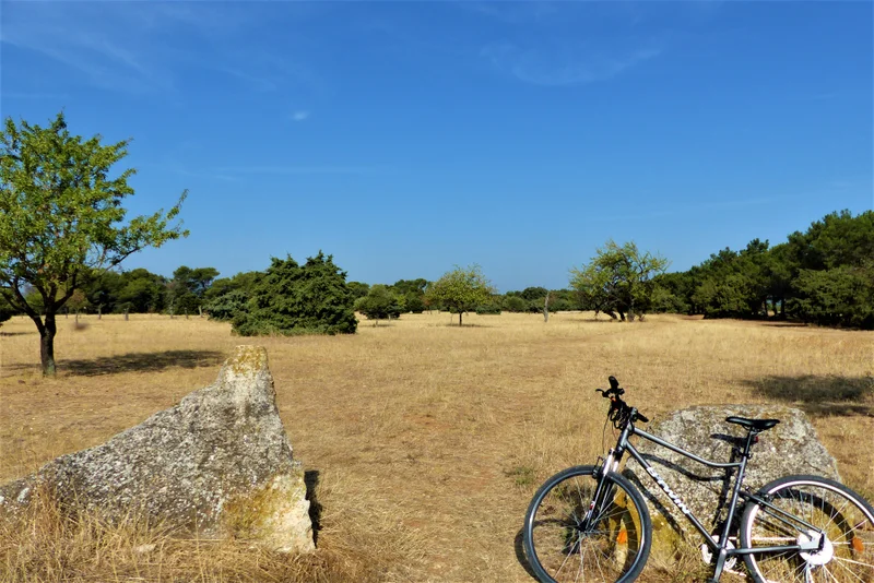 VTT SAINT-RÉMY-DE-PROVENCE - La Routo : pèr draio e pèr camin à VTT · Saint-Rémy-de-Provence
