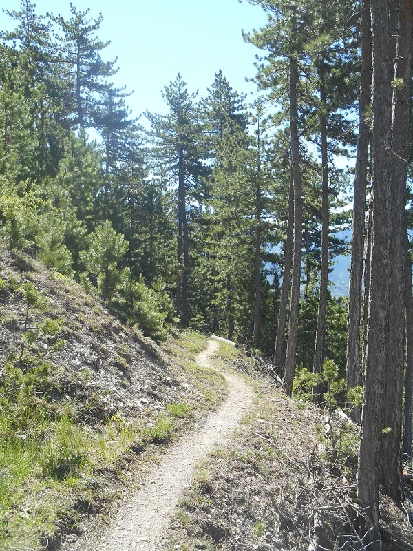 VTT SAINT-CRÉPRIN - Bois Durat à VTT · Saint-Crépin