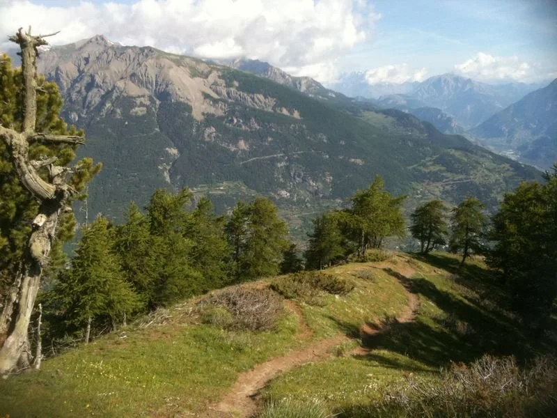 VTT RISOUL - Crêtes du Pénon à VTT · Risoul