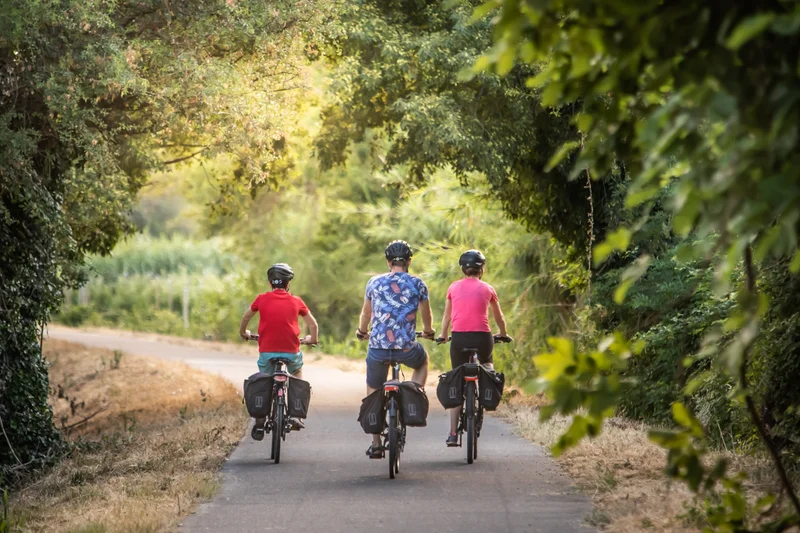 Vélo de route SAINT-RÉMY-DE-PROVENCE - Les jardins de Mistral à vélo · Saint-Rémy-de-Provence