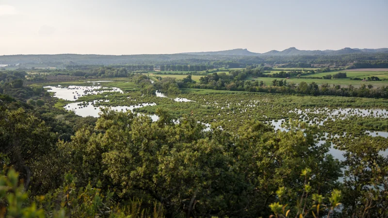 Vélo de route FONTVIELLE - Des Alpilles à la Camargue à vélo · Fontvieille