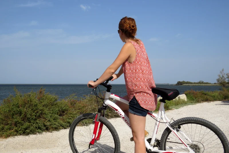 Vélo de route ARLES - À la découverte du Vaccarès à vélo · Arles