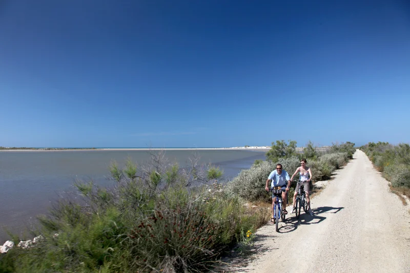 Vélo de route SALIN-DE-GIRAUD - Les trois étangs à vélo · Salin-de-Giraud