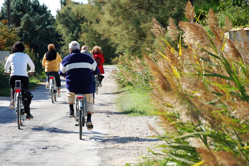 Vélo de route ARLES - Le chemin des taureaux à vélo · Arles