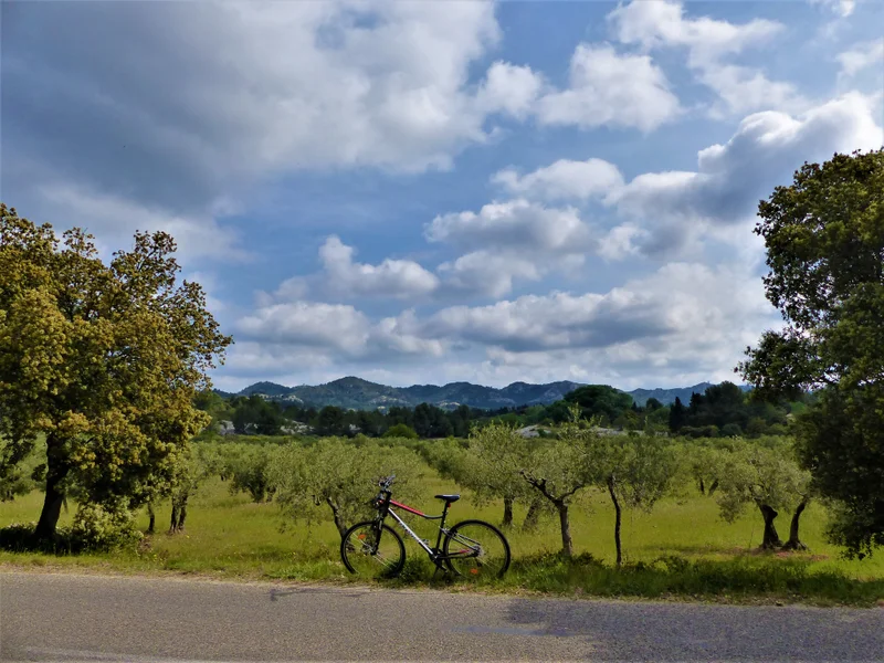 Vélo de route SAINT-RÉMY-DE-PROVENCE - À vélo, les Alpilles par le Val d'Enfer · Saint-Rémy-de-Provence