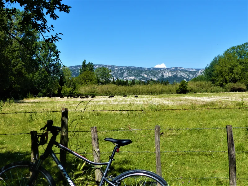 Vélo de route SÉNAS - Perrier Redon à vélo · Sénas