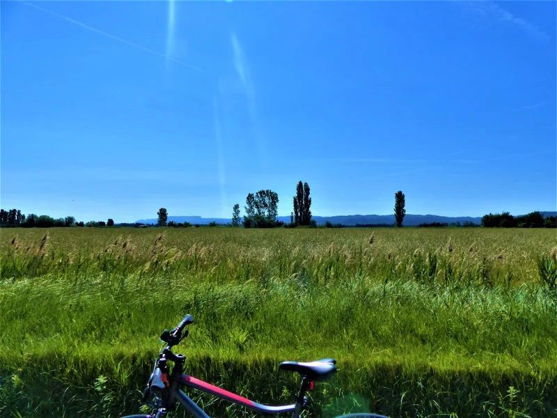 Vélo de route TARASCON - La campagne provençale à vélo · Tarascon