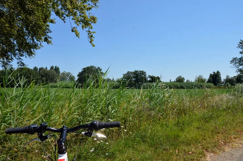 Vélo de route ARLES - De la Crau aux Marais du Vigueirat à vélo · Mas-Thibert