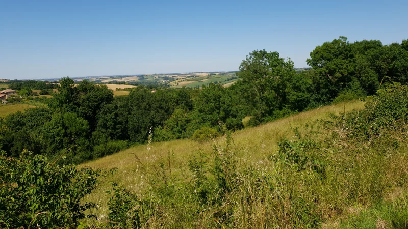 Randonnée Agassac "Sur les traces de l'histoire" · Agassac